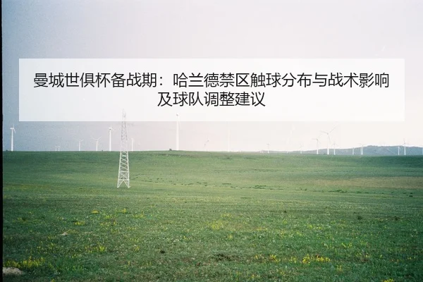曼城世俱杯备战期：哈兰德禁区触球分布与战术影响及球队调整建议