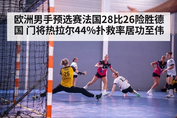 欧洲男手预选赛法国28比26险胜德国 门将热拉尔44%扑救率居功至伟